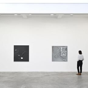 Paul Sietsema, exhibition view. Courtesy of Marian Goodman Gallery