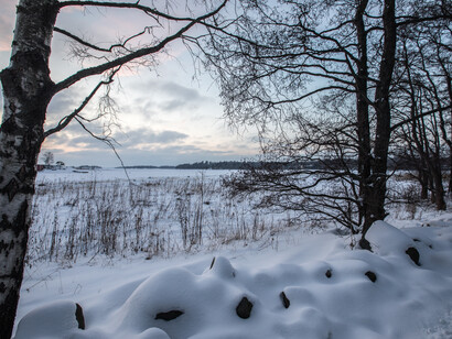 Christmas is a time celebrated with song