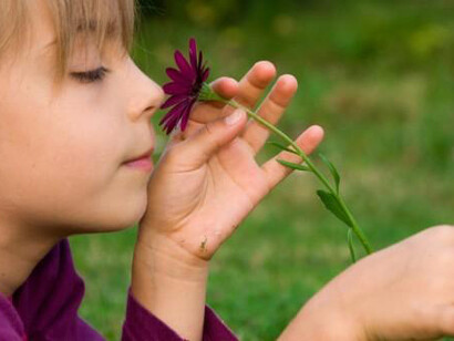 Il profumo dei fiori