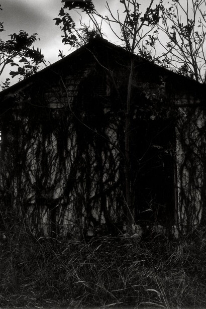 Graciela Iturbide, Carretera 61, de Clarksdale, Mississippi, a Memphis, Tennessee, Estados Unidos (Highway 61, from Clarksdale, Mississippi, to Memphis, Tennessee, United States) (detail), 1997. Courtesy of San Francisco Museum of Modern Art