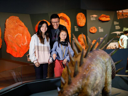 Wild life, exhibition view. Courtesy of Western Australian Museum