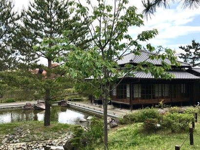 Kyu Shimizu-tei Shoin former residence © Alma Reyes