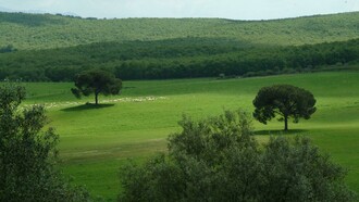 Riserva naturale nell'area di Monterotondo