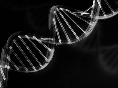 The idea of using DNA as a construction material was first introduced in the early 1980s by Nadrian Seeman