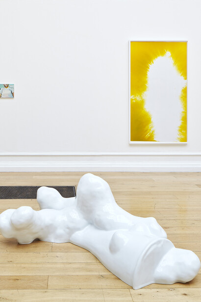 Installation view at the South London Gallery, 2014, Photo by Andy Stagg