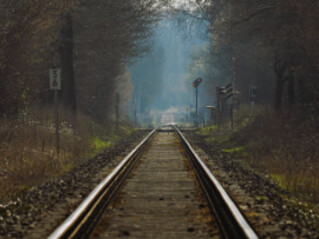 Un murmuro comenzó a recorrer el vagón. No fue la anciana ni el hombre del maletín quienes lo emitieron, sino el tren mismo, que parecía estar tomando forma, absorbiendo las vibraciones del ambiente