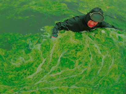 Algal bloom at Chaohu Lake, Hefei: supporting ecosystems must be considered over business profits