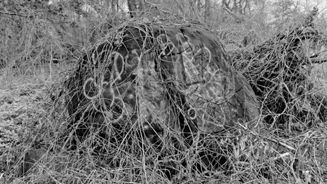 Mitch Epstein, Pelham Bay Park, Bronx, 2014. Courtesy of Galerie Les filles du calvaire