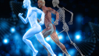 Você já deve ter ouvido falar no termo biohacking e talvez tenha imaginado algo futurista, distante da realidade cotidiana, ou até mesmo ligado a procedimentos invasivos e tecnologias complicadas. No entanto, o biohacking é, em essência, o conjunto de estratégias — muitas vezes simples, outras mais avançadas — que as pessoas utilizam para otimizar o funcionamento do corpo e da mente. No esporte, essa prática tem ganhado cada vez mais espaço, pois atletas buscam maneiras de elevar seu desempenho, acelerar a recuperação e prolongar a longevidade esportiva. Mas afinal, o que é biohacking no esporte? Quais são os mitos que cercam essa prática? E o que a ciência realmente diz sobre ela?