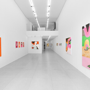 Antonio Malta Campos, Opalescent, exhibition view. Courtesy of Simões de Assis Gallery