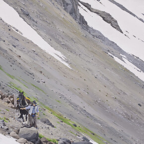 Max Werner, Looking for a Trail, Acrylic on Canvas, 37" x 49.5"