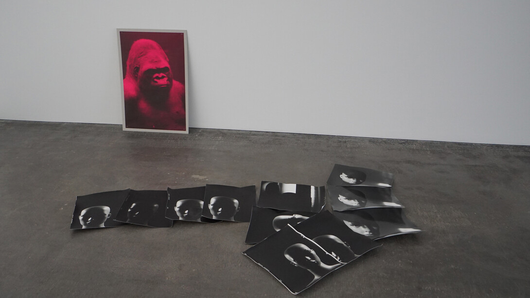Erwin Kneihsl. Courtesy of Galerie Guido W. Baudach
