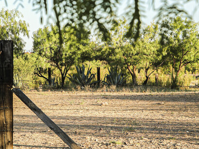 Tierra cultivada para elasborar Mezcal, Mexico
