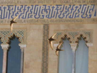 Swifts flying low in the courtyard of the Real Alcazar © Gehan de Silva Wijeyeratne