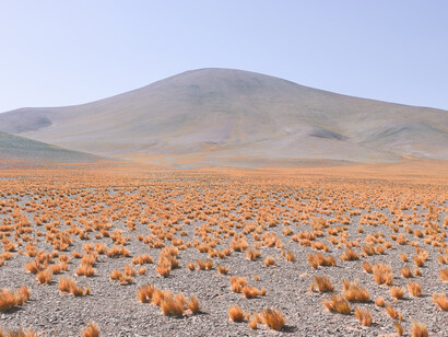 ROGER EBERHARD, 
24th Parallel, 2018
archival pigment print, mounted on aluminum
edition of 3 + 1 AP, ed. 1/3
image 140 x 180 cm (55 1/8 x 70 7/8 in.)
framed 145.5 x 185 x 5 cm (57 1/4 x 72 7/8 x 2 in.)