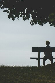 A lone figure sitting on a bench beneath a tree, capturing a quiet moment of solitude