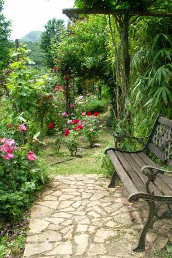 Giardino segreto