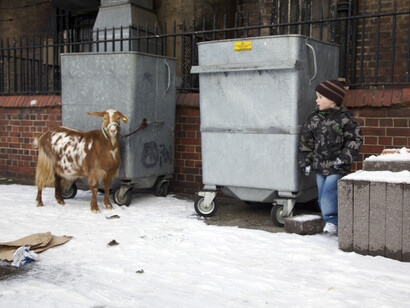 Andrea Luka Zimmerman, Estate, a Reverie (2015) Production still. Courtesy photographer Briony Campbell and Fugitive Images