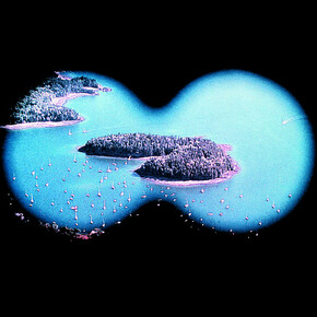 Untitled (Island), Piotr Uklański, (Polish, born Warsaw 1968), Date: 1997, printed 2013, detail