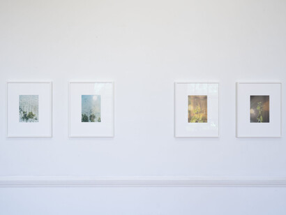 Noguchi Rika, Life on planet Earth, exhibition view. Courtesy of Daiwa Foundation Japan House