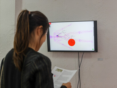 Mingyue Chen, The Land of Nothingness, 2023, installation view. Courtesy of :iidrr Gallery, NYC