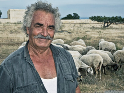 Un uomo e le sue pecore