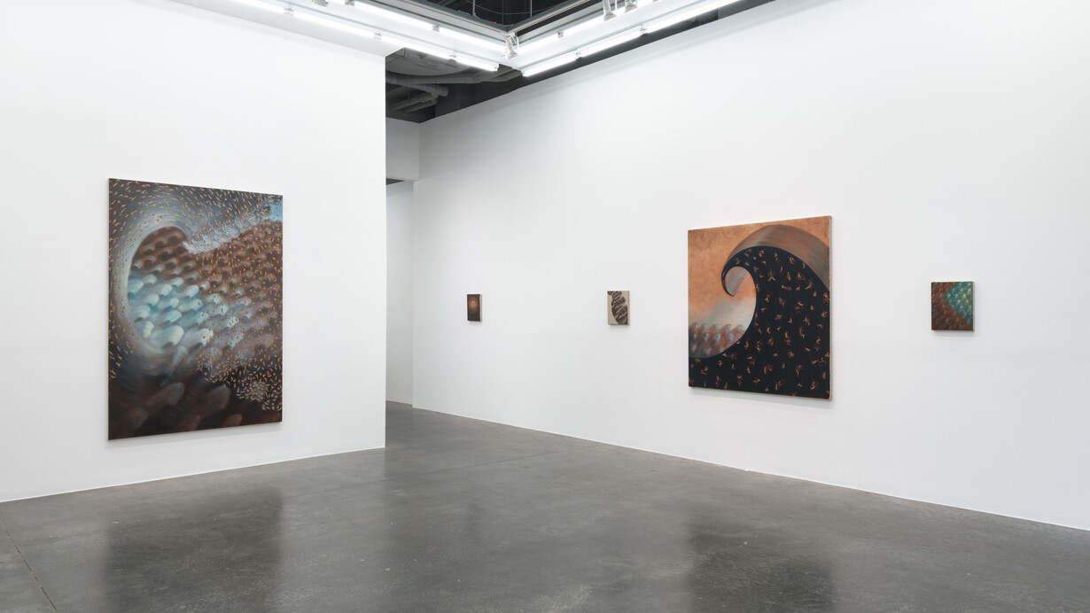 Anastasiya Tarasenko, Primordial soup, exhibition view. Courtesy of Anna Zorina Gallery 