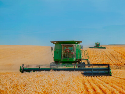 Food security: the price of wheat futures has risen sharply and reached unprecedented levels