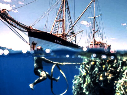 L'isola di plastica si è formata negli anni '80, quando molte nazioni con coste sull'Oceano Pacifico vi scaricavano rifiuti che includevano materiali plastici