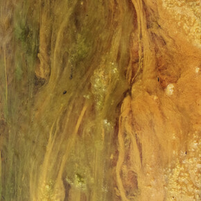 JITKA HANZLOVÁ
UR#4 Untitled, 2018 (rust)
from "WATER", 2018
c-print
edition of 8, ed. 8/8 + 3 AP
image 44 x 29.5 cm (17 3/8 x 11 5/8 in.)
framed 58 x 43 cm (22 7/8 x 16 7/8 in.) 