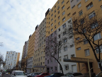The Panelház districts, initially created to house a growing urban population, quickly gained a reputation for their repetitive, stark facades and lack of architectural variety, Hungary