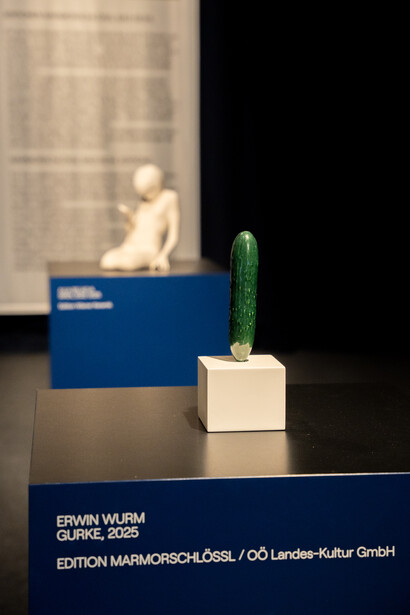 Various artists, Vienna ceramics edition, exhibition view. Courtesy of Academy of Ceramics Gmunden