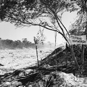 Jo Ractliffe, On the road to Cuito Cuanavale IV, 2009