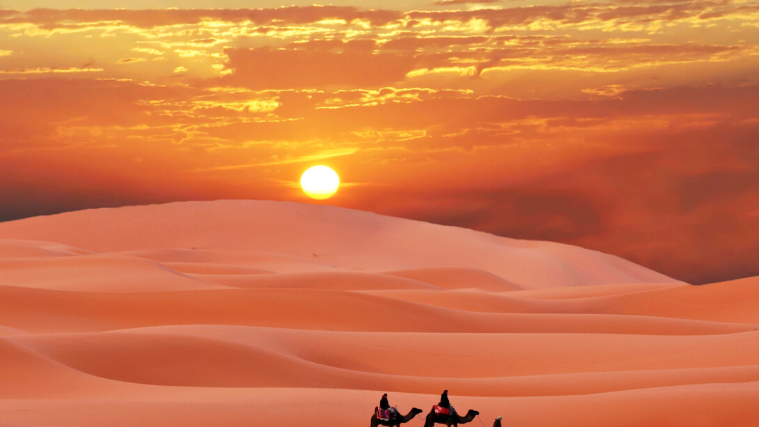 Viajeros en el desierto