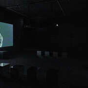 Ho Tzu Nyen, Time and the tiger, exhibition view. Courtesy of Mudam