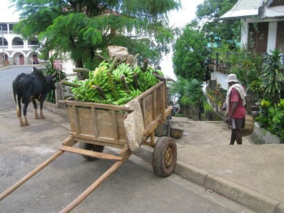 Venditore di banane a Hell Ville