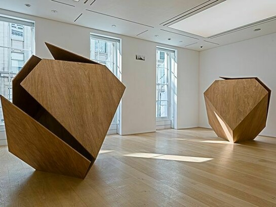 Graham Gussin, In Bloom 1 & 2, 2013, Plywood , 200 x 200 x 220 cm, Unique