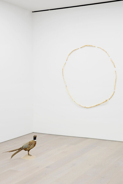 Gabriel Rico. Courtesy of Aspen Art Museum