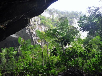 Mulu caves