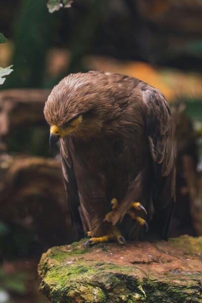 A veces se turnan. A veces se enfrentan. Pero todas quieren lo mismo: salir. Volver a lo que fueron antes de ser contenidas