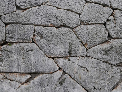 Per costruire un edificio, è sicuramente necessaria la competenza tecnica degli operai edili