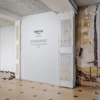 Susana Pilar, Not alone, vue de l'exposition. Avec l'aimable autorisation de la Galleria Continua