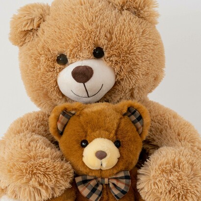 L'orsetto Teddy, protagonista delle lezioni in lingua inglese per la Scuola dell'Infanzia Luzio di San Severino Marche, Italia