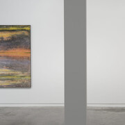 Common fate, exhibition view. Courtesy of Two Rooms