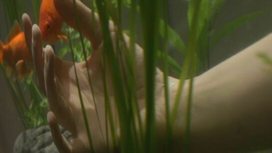 Leah Capaldi, Surveillance, 2014, video still