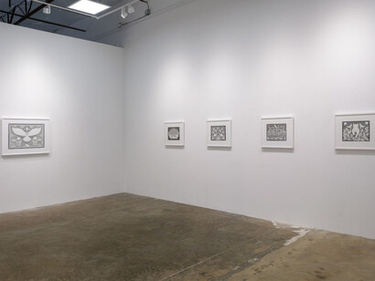 Alexa Brooks, Patterns of catastrophe, exhibition view. Courtesy of Erin Cluley Gallery