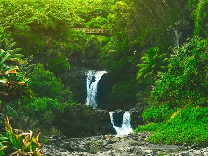 Naturaleza