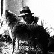 Creatures. Courtesy of Contemporary Arts Center