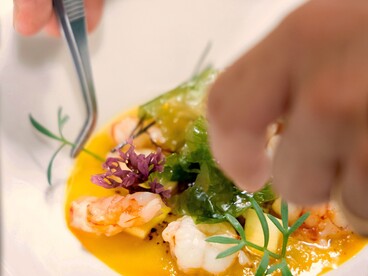 La semplicità, spesso la vera anima della cucina, può essere oscurata da un’eccessiva ricerca di perfezione estetica