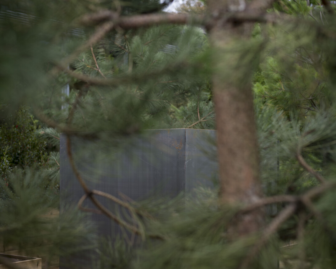 Alfredo Jaar, The Garden of Good and Evil, 2017. Courtesy the artist, New York, a_political and YSP. Photo © Jonty Wilde